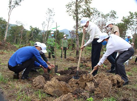 Ông Đinh Văn Thiệu trồng cây tại lễ phát động